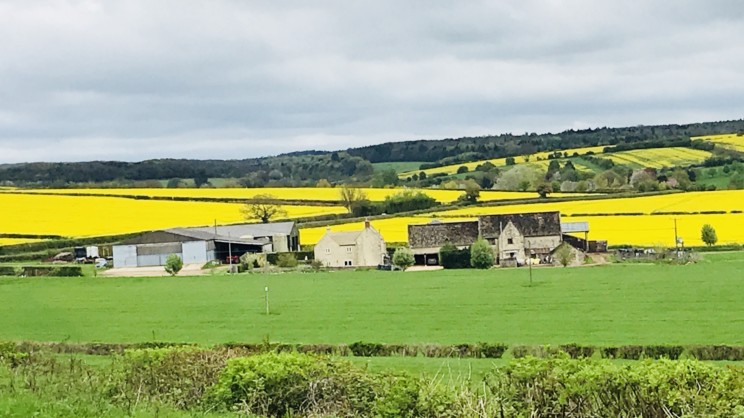 The Cotswolds; Chocolate Box Perfection! 6 - F540A62A 1AD5 4C51 B76A AEE9D154191D